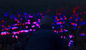 Tehnologii inovative în agricultură: Razele UV sunt folosite pentru culturile exterioare